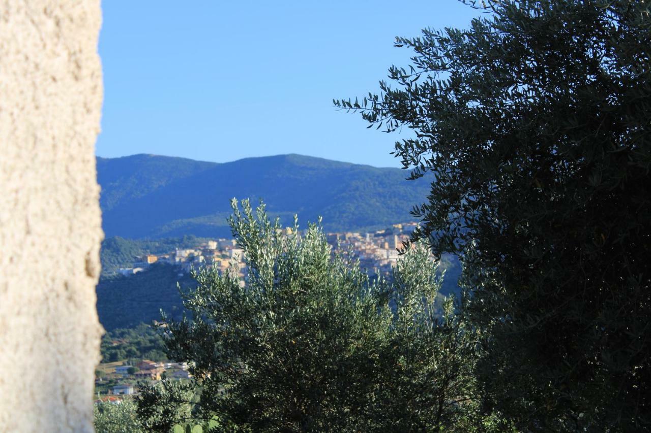 Casale Degli Ulivi Villa Roccadaspide Exterior foto